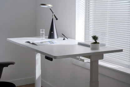 Vernal Standing Desks - White/White