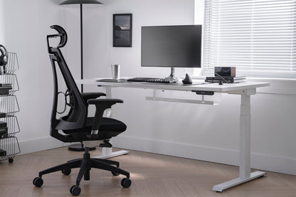 Vernal Standing Desks - White/White